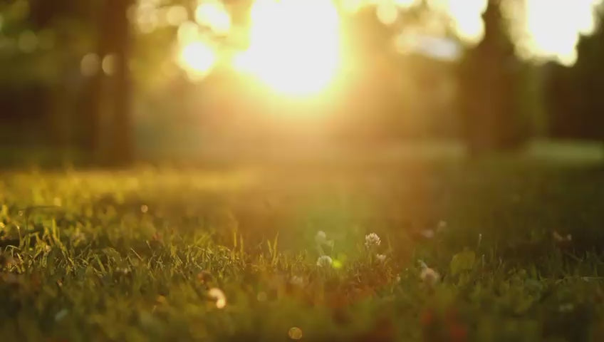 Carica il video: 